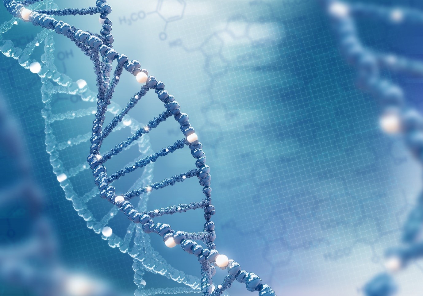  A healthy pregnancy starts with a healthy embryo