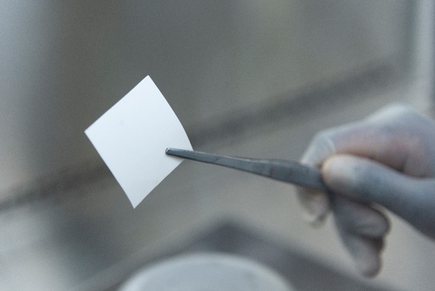 Innovative wound-healing technique using amniotic membrane