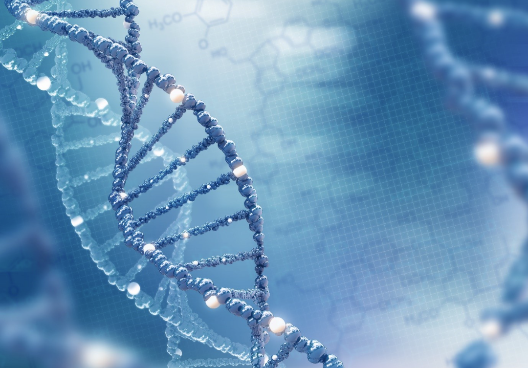 Biological reasons for the discordance of Monosomy X