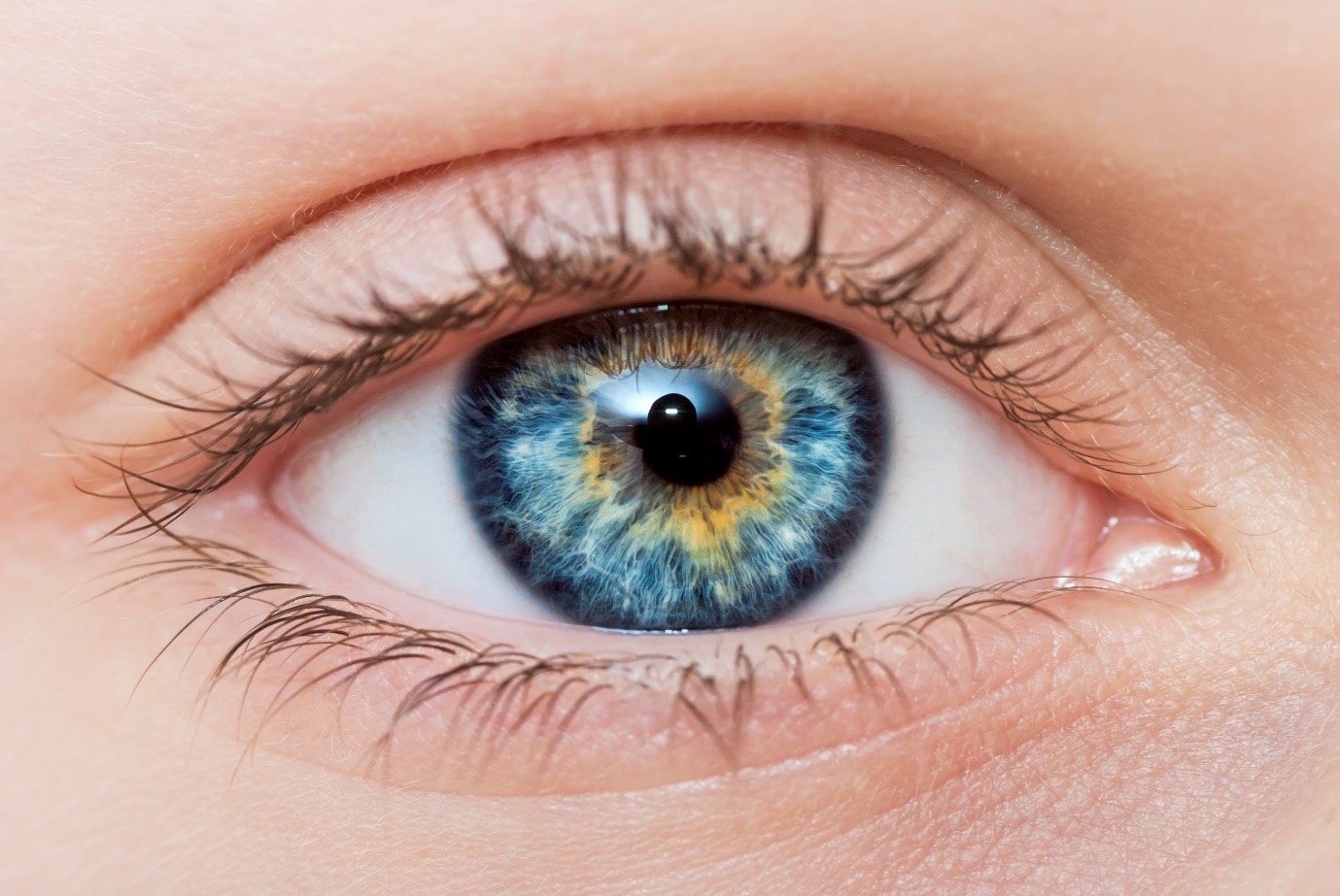 Dry eye decision tree – 10 years after DEWS