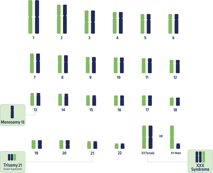 POC - Patient & HCP- What is POC-1