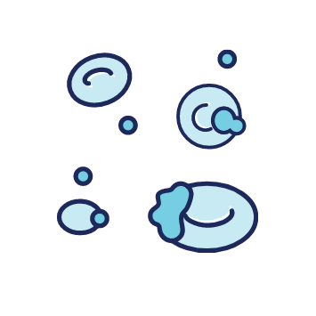 Inherited Platelet Abnormalities