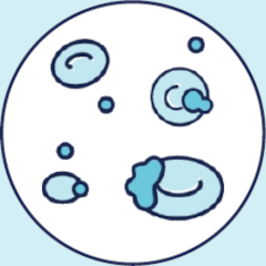 Inherited Platelet Abnormalities
