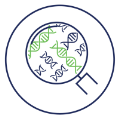 Whole genome amplification