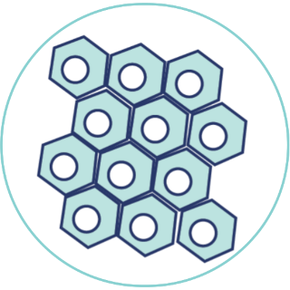 Biological Scaffold