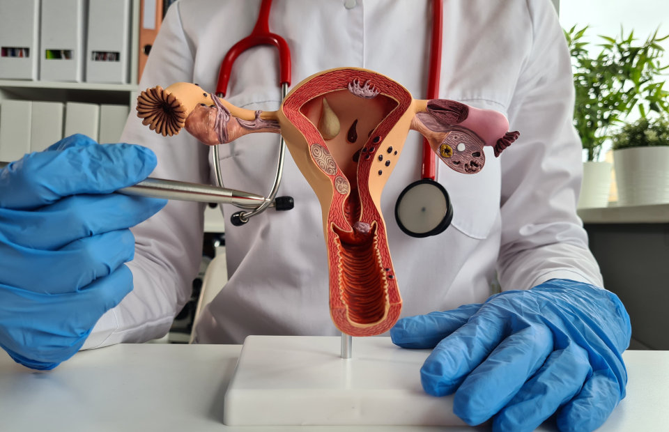 3-in-1 Endometrial Test
