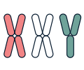 Sex Chromosome Anomaly