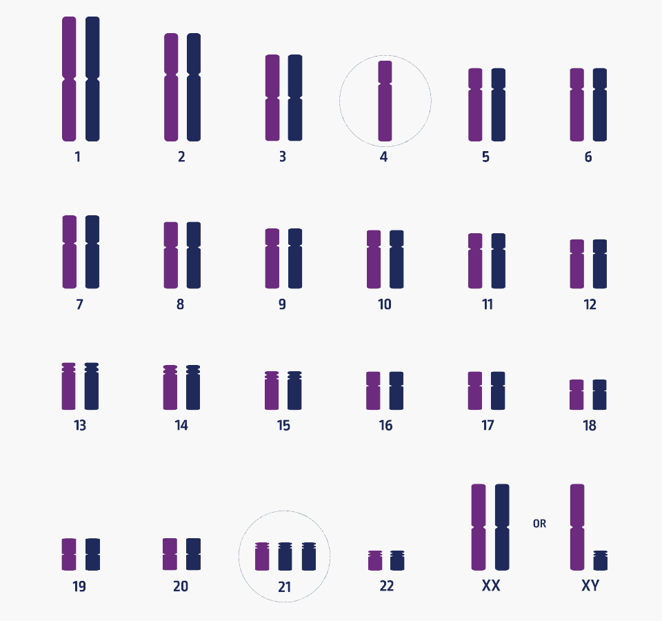 Incorrect number of chromosomes (aneuploid)
