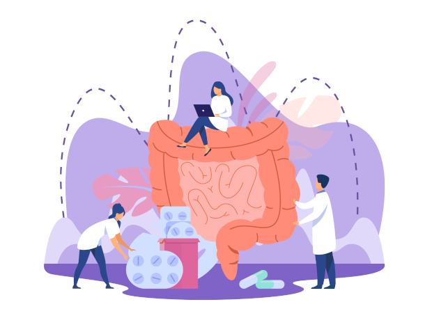 Functional gut processes