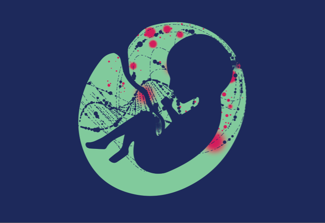 What an amazing team!