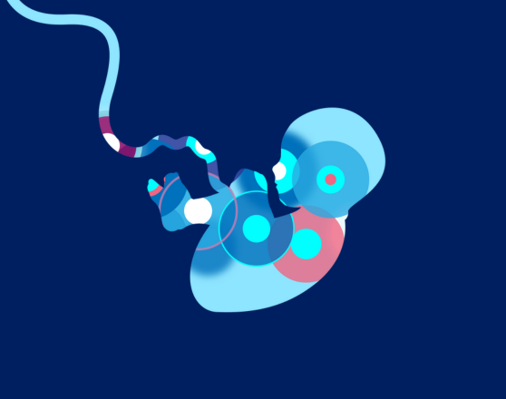 Process was just easy and flawless