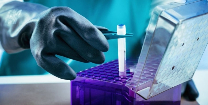 Cord Blood vs Cord Tissue Storage: What is important to consider?  